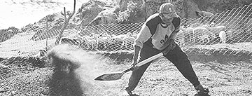 autores latinoamericanos